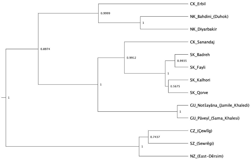 Rooted Bayesian phylogenetic tree of Kurdish, Gorani, and Zazaki varieties with posterior probabilities at each internal node